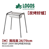 No 日本品牌logos 倍速凍結超凍媒 L 冰磚保冷劑冰箱保冷磚 探險家戶外用品